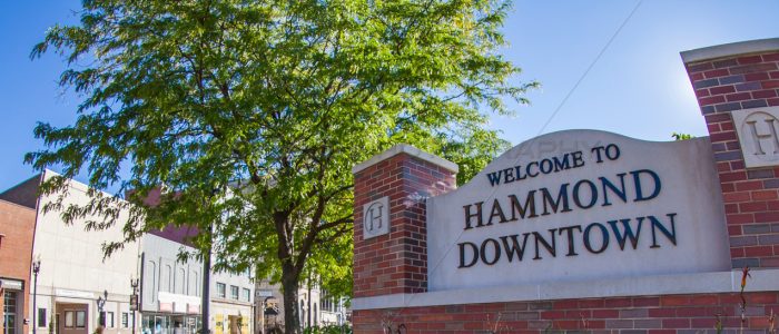 Welcome to Downtown Hammond Sign MS-X3